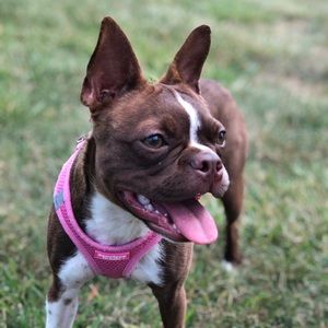 Meet your Posher, Carly